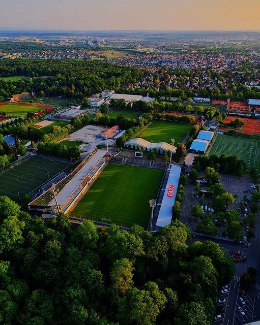 固的方向迈 固的方向迈