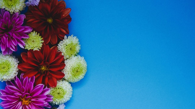 表现正是如 表现正是如