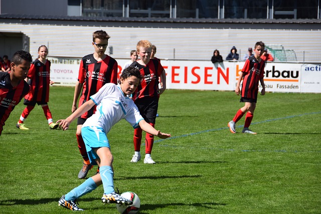 了解法律 了解法律