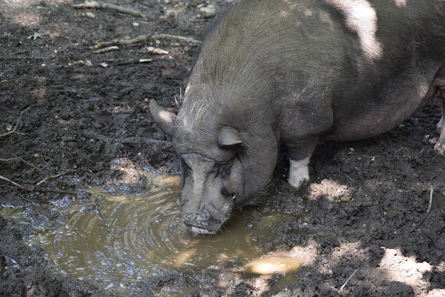 一位体育专 一位体育专