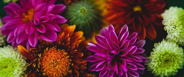 场洞察力 场洞察力