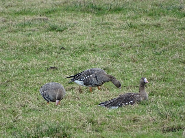 主动发声 主动发声
