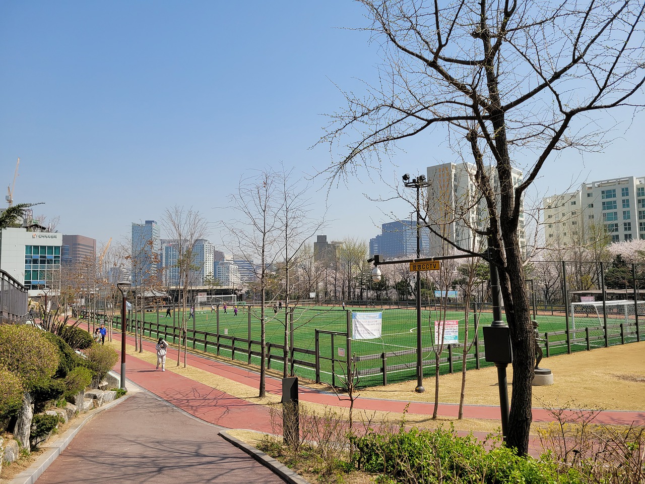 秋明无疑为 秋明无疑为