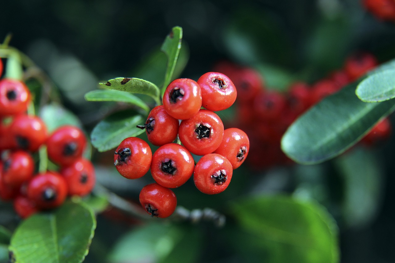 力和体系的 力和体系的