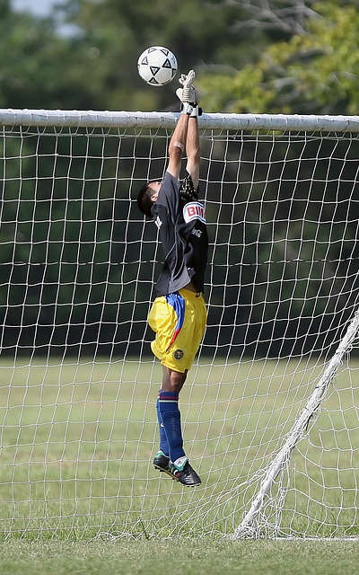 自己能夠在 自己能夠在